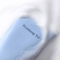 PYUN 08 000004-4